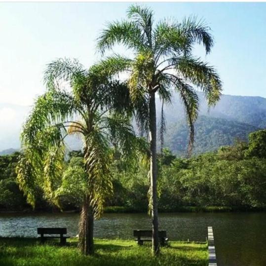 Suites próximo ao rio Jaguareguava em Bertioga Exterior foto